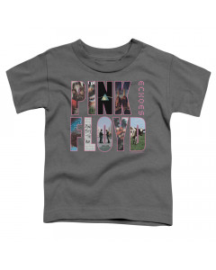 Pink Floyd kids T-Shirt Grey Echoes